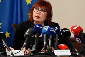 Pavličić: Vrhovni sud efikasan, potrebna hitna reakcija zbog...