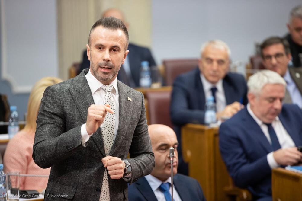 “Presudno je ko dolazi i s kakvim namjerama dolazi u partiju”: Bogdanović