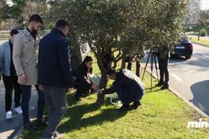 Sjećanje na Srđana Aleksića uči i opominje da i u bezumlju rata...