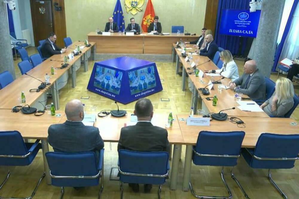 Sa jučerašnje sjednice Odbora za ekonomiju, Foto: Foto: Printscreen YouTube