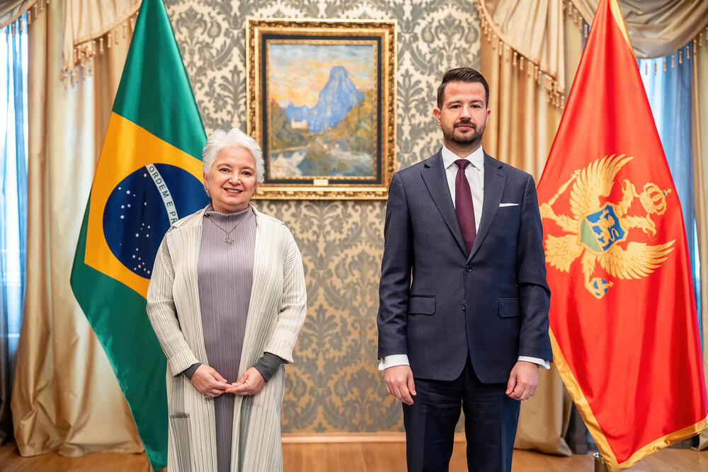 Milatović i ambasadori