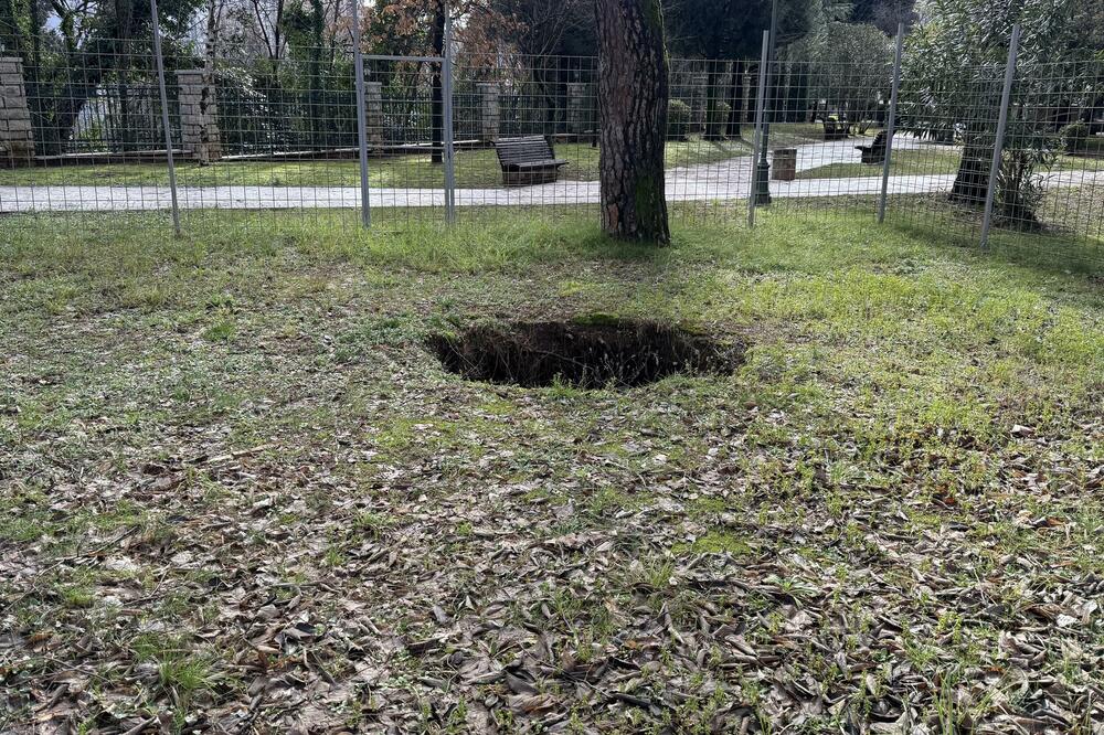 Rupa u Kraljevom parku, Foto: Nikola Saveljić