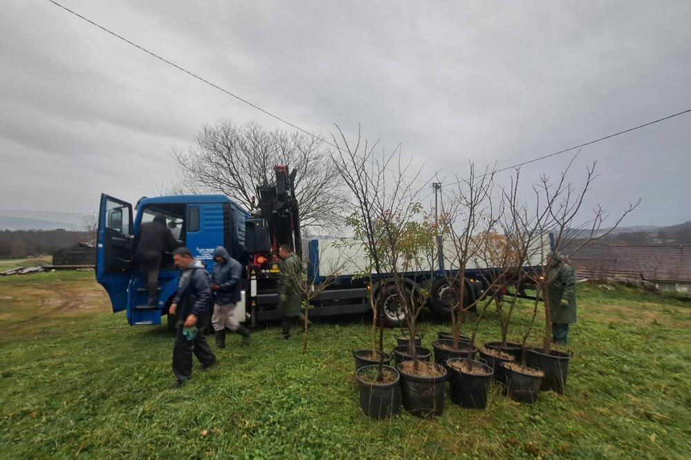 &ldquo;Zelenilo&rdquo; doniralo sadnice Piperima, Foto: Privatna arhiva