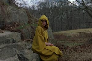 Vrijeme adaptacije i demon nesvodivosti