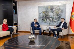 Džiu džicu: Crna Gora naredne godine domaćin prvenstva Evrope