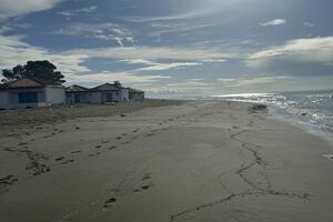 "Grozd" spasen, plaža na Adi kao nekad