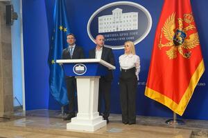 DNP predao predlog Skupštini - trobojka da bude "narodna i...