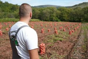 Od gradskog dječaka do &bdquo;kralja krompira&rdquo;