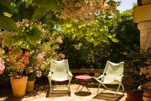 Novi trendovi u uređenju dvorišta