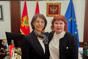 Dogovorili uspostavljanje saradnje i u oblasti unapređenja...