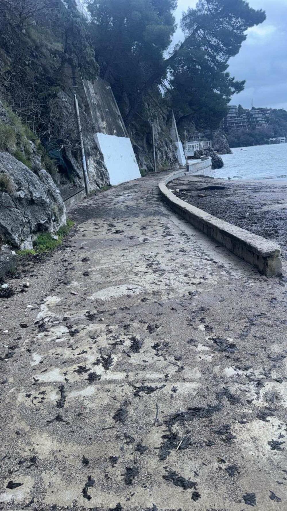 <p>"Nakon uklanjanja otpada mehanizacijom, ekipe sektora Čistoće pristupile su detaljnom ručnom čišćenju i usisavanju šetališta uz pomoć multifunkcionalnih mašina i električnih usisivača", kazala je PR Komunalnog Budva Aleksandra Rajković</p>