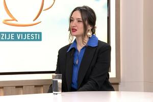 Čukić Šoškić: Više od 7.000 domaćinstava ugradilo solarne panele...