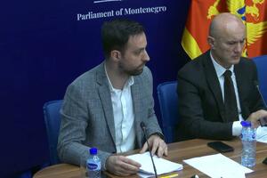 Zirojević: Šta ćemo sa saznanjima da je Medenica išao na proslave...