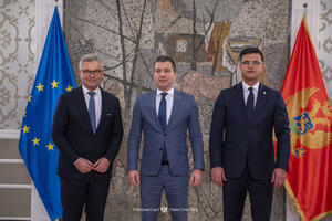 Bruner: Crna Gora je predvodnik na putu ka EU, morate da pojačate...