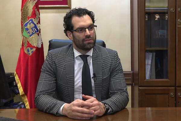 Radonjić: Državni organi da energiju usmjere na pronalazak...