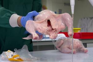 Pitanje koje je podijelilo internet: Oprati ili ne oprati pile...