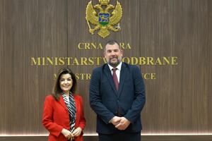 Krapović: Odnosi Crne Gore i Turske temelje se na uzajamnom...