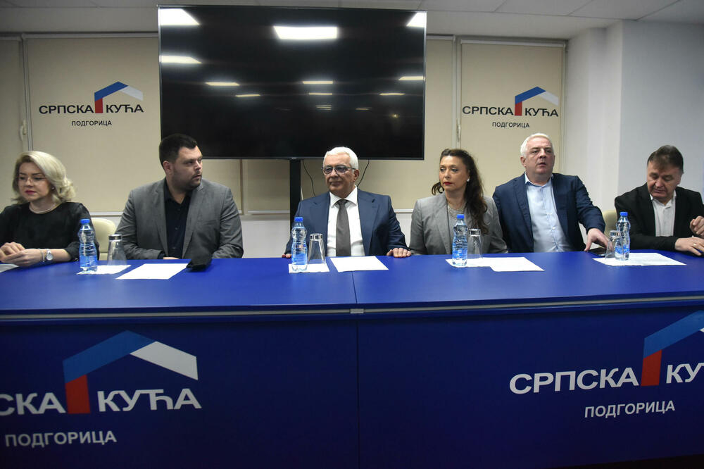 Sa sjednice NSD-a, Foto: Boris Pejović