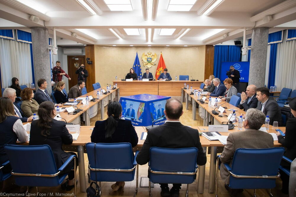 Sjednica Odbora, Foto: Skupština Crne Gore