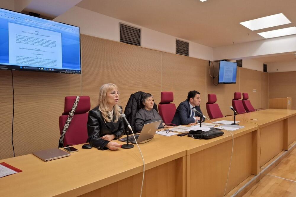 Manojlović se obraća na konsultacijama, Foto: ZOCG