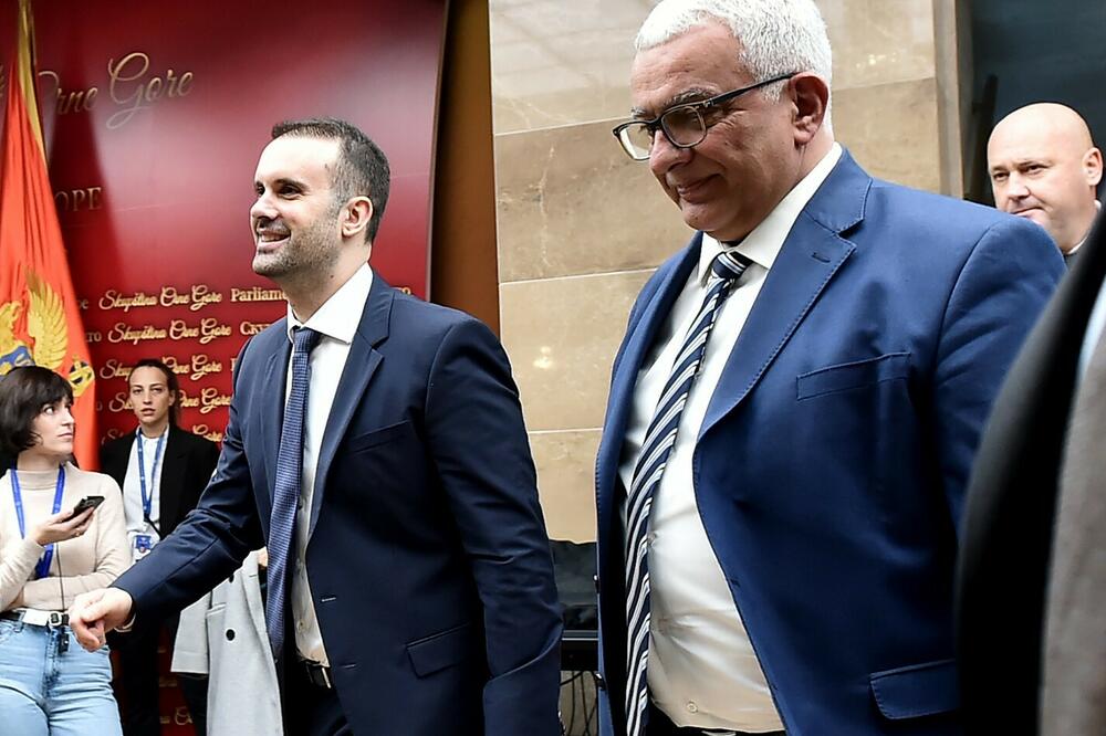 U PES-u ne plaćaju studenti i penzioneri, u NSD niko: lideri tih stranaka Milojko Spajić i Andrija Mandić, Foto: Saša Matić/Vlada Crne Gore
