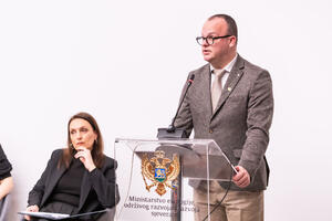 Ćulafić: Usvajanje Strategije niskougljeničnog razvoja početak...