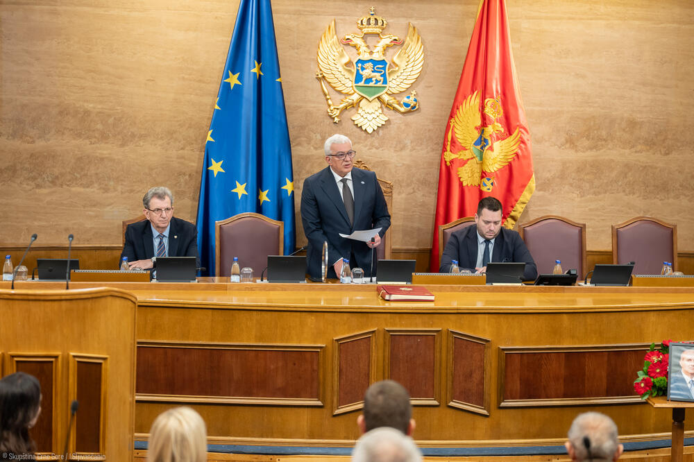 Mandić, Foto: Skupština/I.Šljivančanin