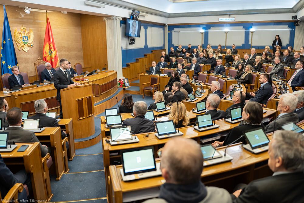 Rakočević za govornicom