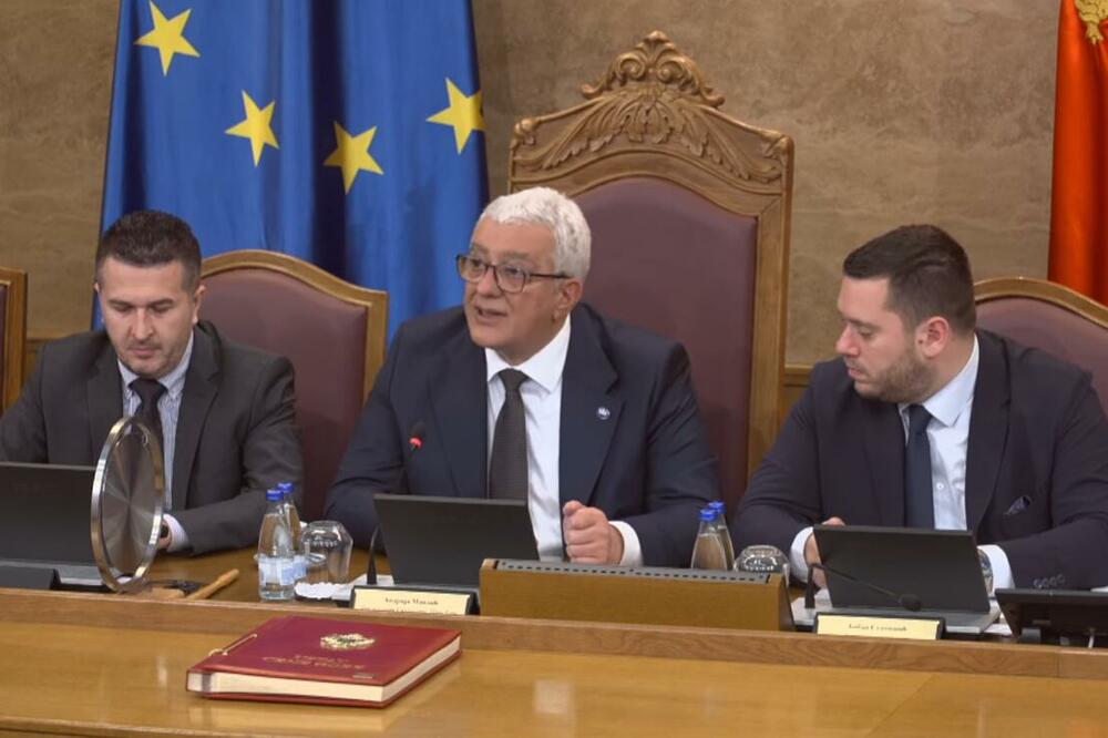 Foto: Skupština Crne Gore/Youtube