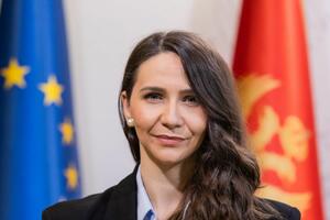 Adžović: Adaptation of the old government building for SDT and SPO is underway...