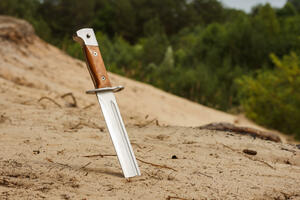 Novinari haški svjedoci