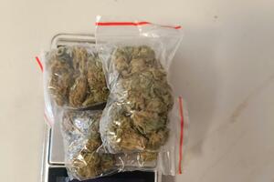 UP: Državljanin Albanije zbog marihuane uhapšen i protjeran iz...