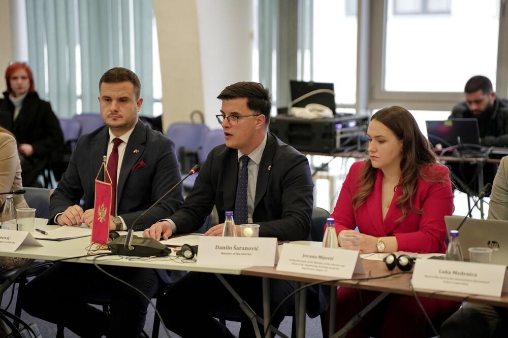 Šaranović govori na Pododboru, Foto: MUP