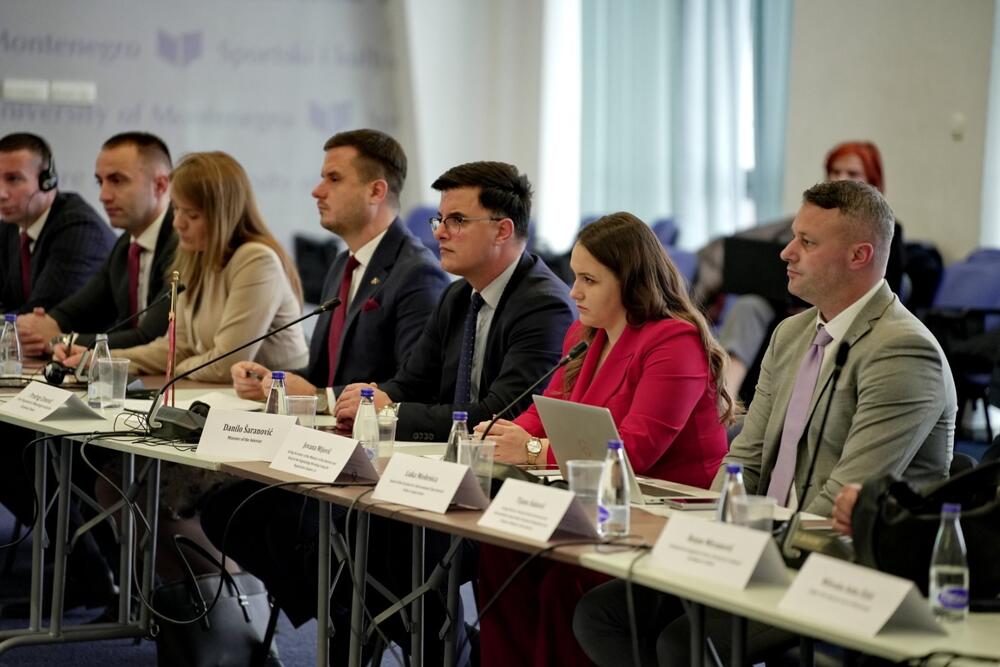 Danilo Šaranović, Pododbor za pravdu, slobodu i bezbjednost