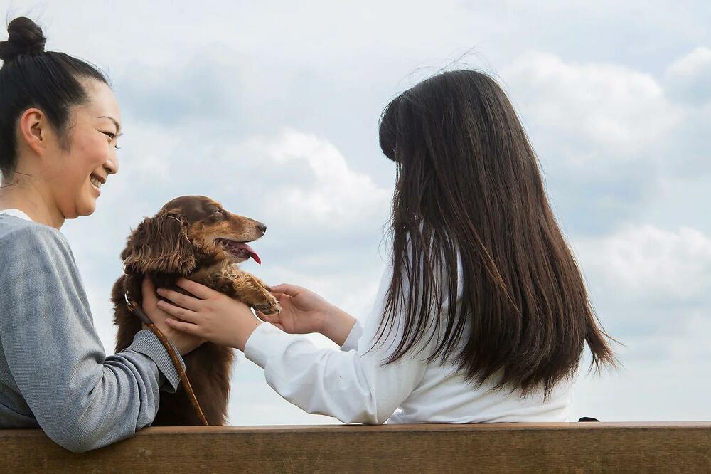 Ilustracija, Foto: Getty Images