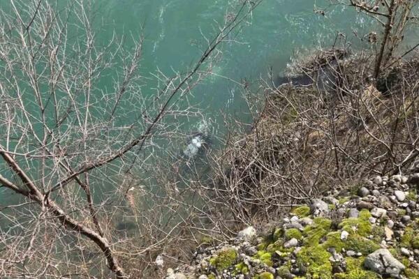 Divers found the body of a woman in Zeta, in the area of ​​the Vukovar Bridge