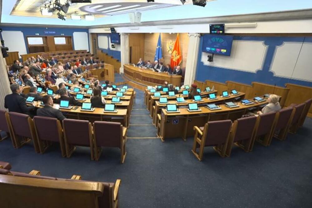 Sjednica Skupštine, Foto: Printscreen YouTube