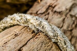 Petnjica: Trojici osumnjičenih za mučenje i snimanje maloljetnika...