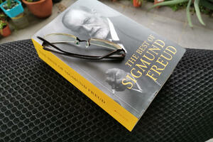 Era erozije erotskog: Smrt seksa, sterlitet seksualnosti