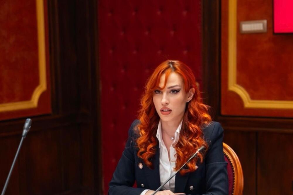 Vojinović, Foto: Skupština Crne Gore/F.Burzanović