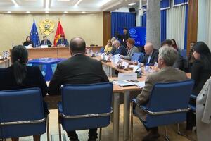 Fiskalni savjet biće konačno formiran do kraja marta?