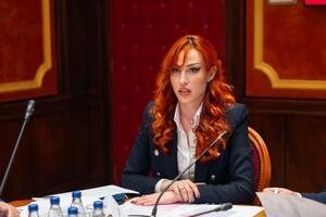 Vojinović: Uvesti jasne standarde odgovornosti i sprovesti...