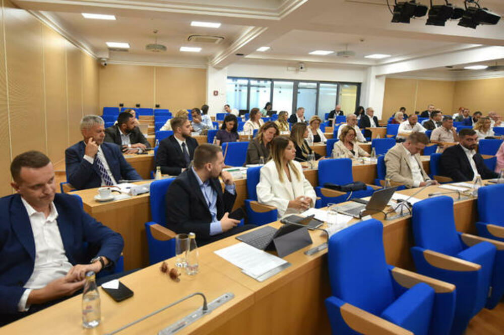 Odbornici DPS-a u podgoričkom parlamentu, Foto: Nikola Saveljić