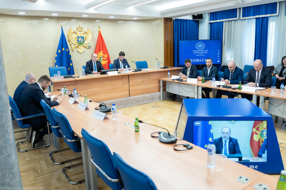 Detalj sa sjednice, Foto: Skupština/I.Šljivančanin