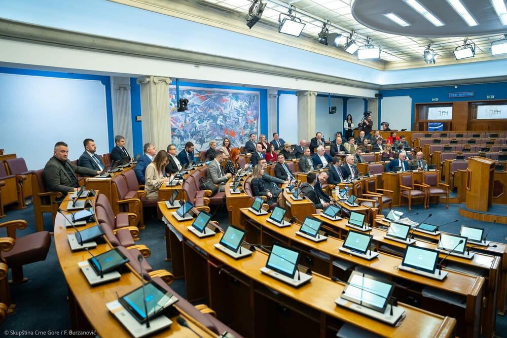 Detalj sa sjednice, Foto: Skupština Crne Gore