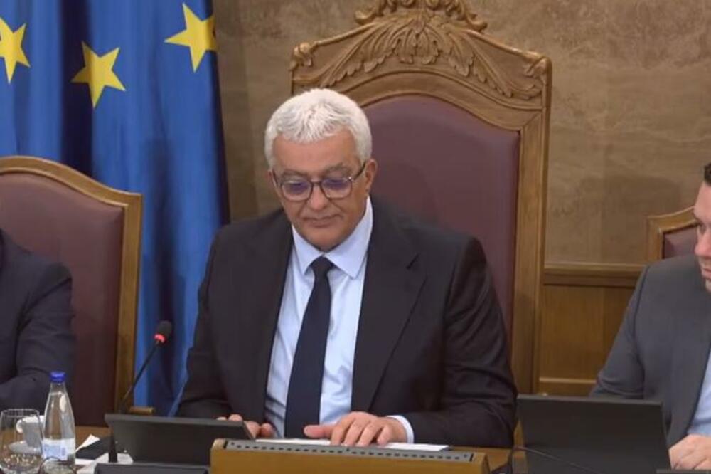 Mandić, Foto: Screenshot/YouTube/Skuština Crne Gore
