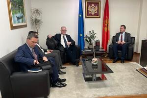 Koprivica: Važno povezivanje institucija uključenih u proces...