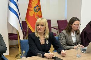 Borovinić Bojović: Duklja je prostor našeg istorijskog pamćenja,...