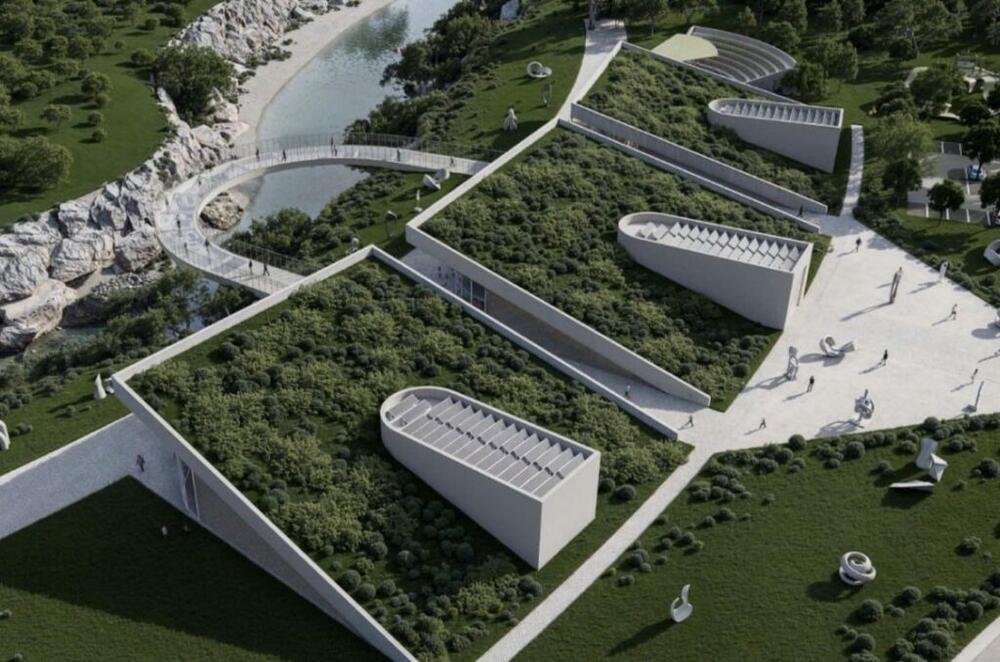 Jelena Borovinić Bojović