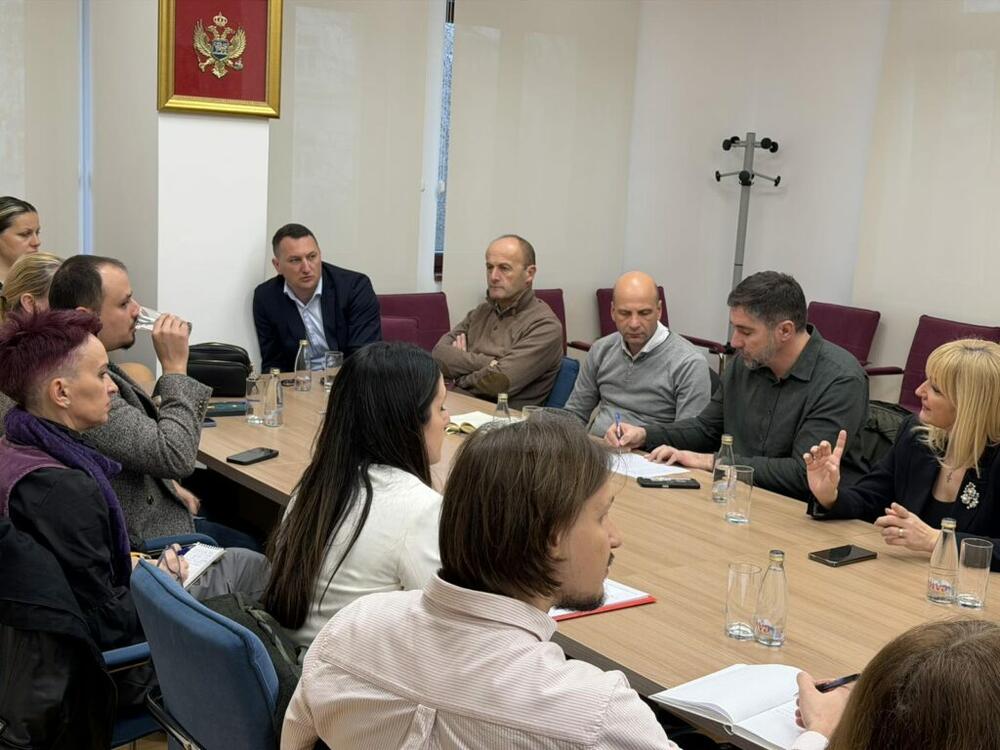 Jelena Borovinić Bojović